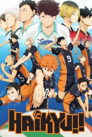 دانلود و تماشای سریال Haikyu!! 2014