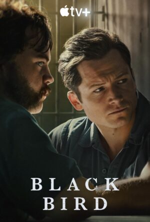 دانلود و تماشای سریال Black Bird 2022