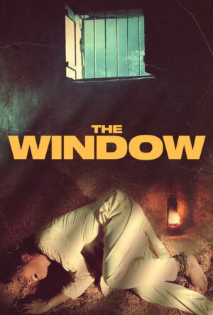 دانلود و تماشای فیلم The Window 2024